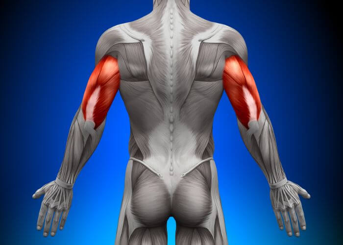 Distal Triceps Repair | Manhattan NY