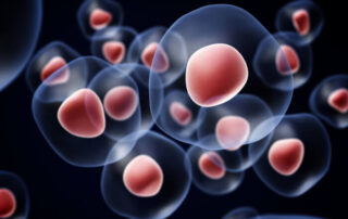Stem Cells | Manhattan NY